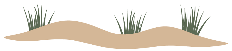 huren-huis-6-personen-natuur-huisje